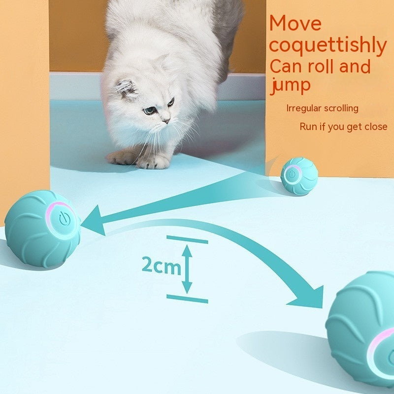 Smart Rolling Ball for Pet Cat Owners