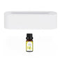 Flame Aroma Diffuser