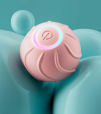 Smart Rolling Ball for Pet Cat Owners