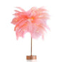 Feather Night Lamp