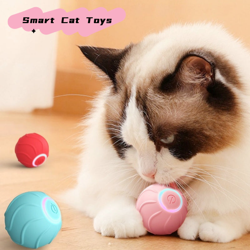Smart Rolling Ball for Pet Cat Owners