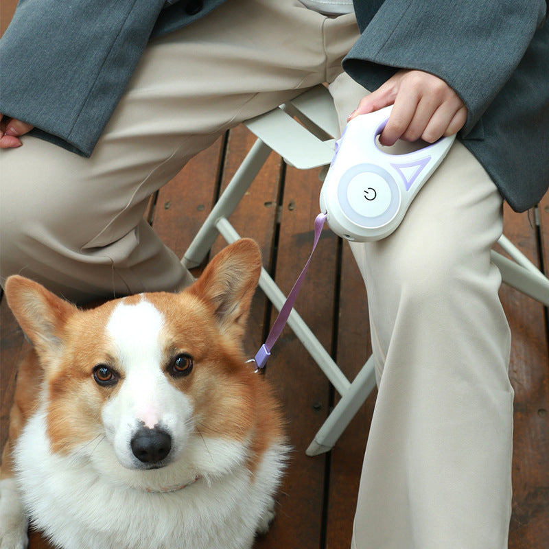 Automatic Retractable Pet Leash