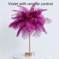Feather Night Lamp