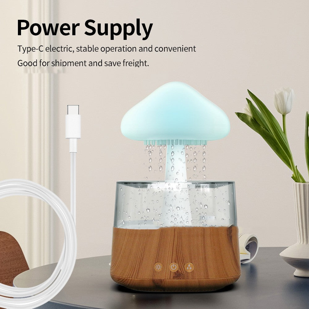 Cloud And Rain Humidifier